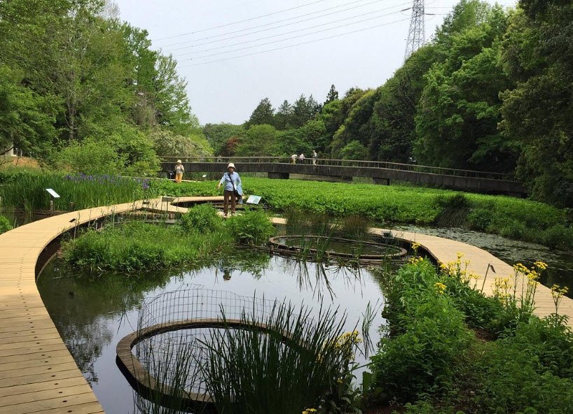 The Tsukuba Botanical Garden, Japan